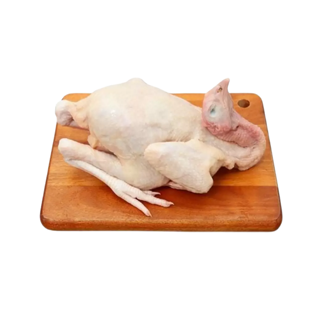 Gà Ta Thả Vườn