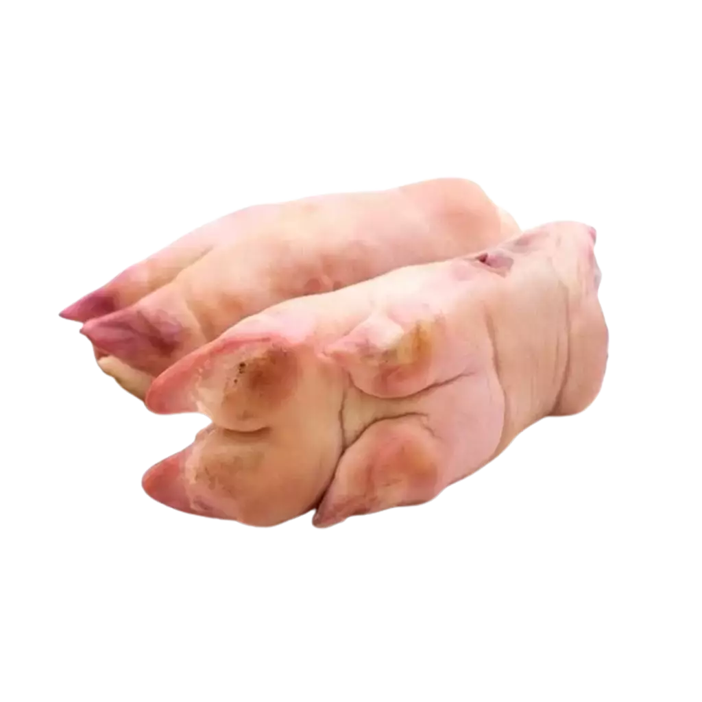 Dựng Heo Trước Alegra