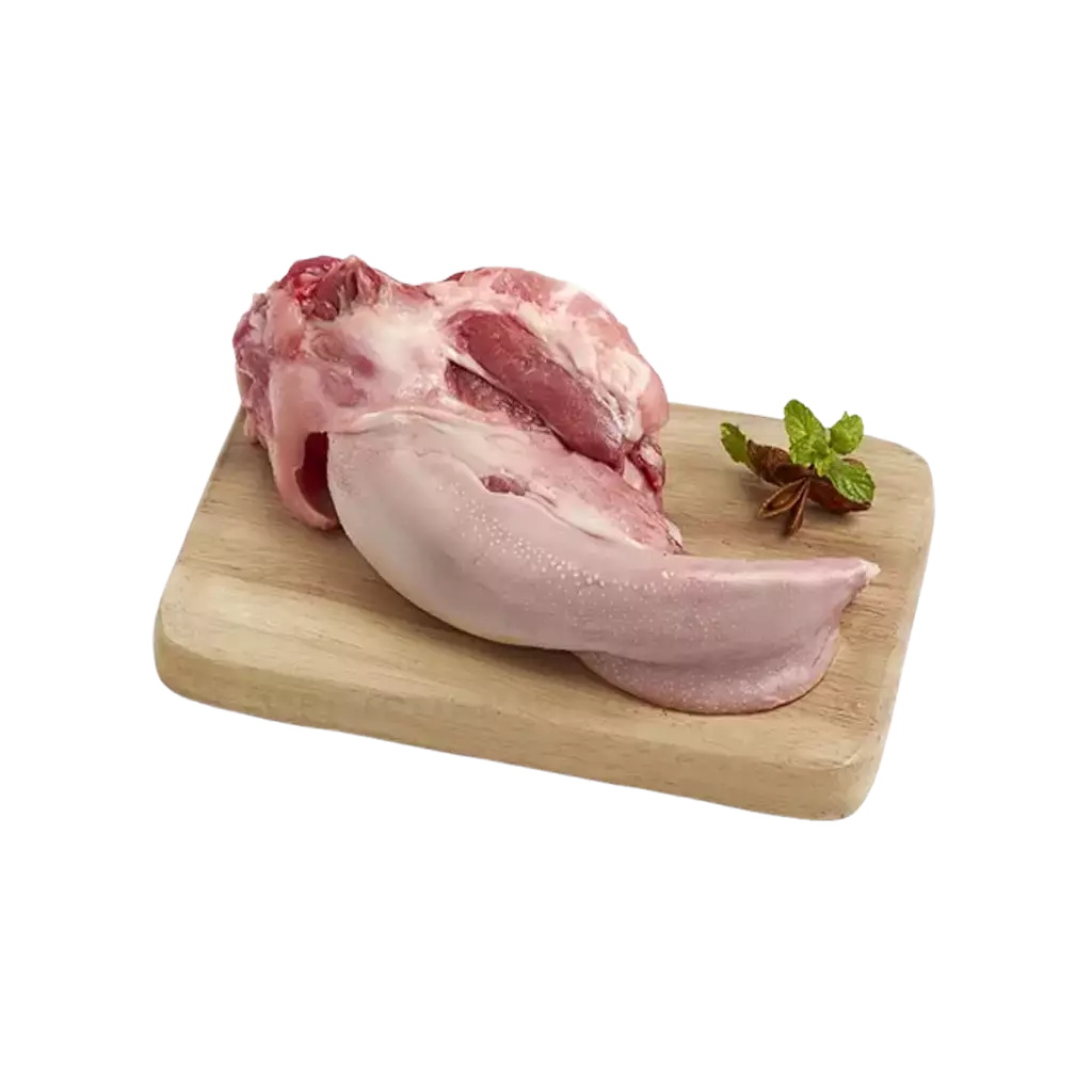 Lưỡi heo không cuống Bỉ